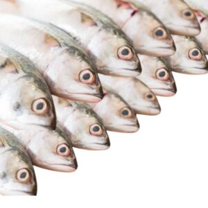 Filete de Jurel Fresco Kg
